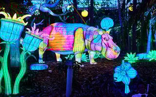 Lektrik: Um Festival de Luzes | Jardim Botânico
